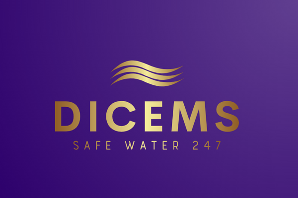 DICEMS LIMITED